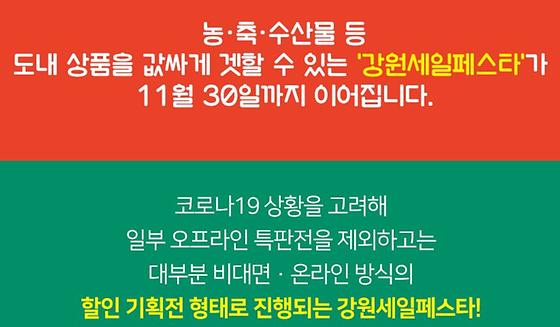 강원도청-세일페스타>할인행사