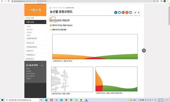 패키지 대신 포장