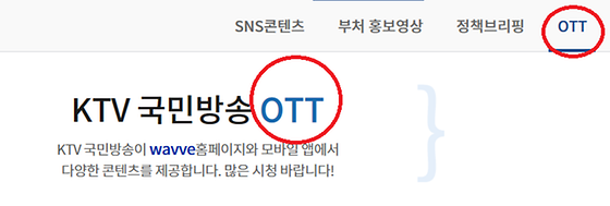 OTT 를 '인터넷동영상서비스'로 바꿔주세요.