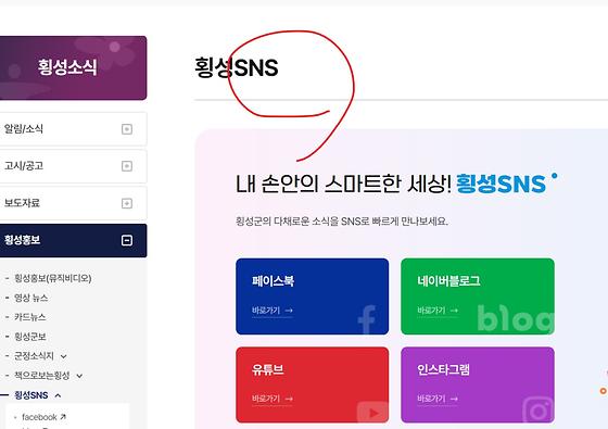 SNS->누리 소통망 서비스