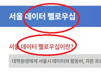 서울데이터펠러우쉽 을 '서울통계시민참여형분석사업'으로 바꿔주세요.