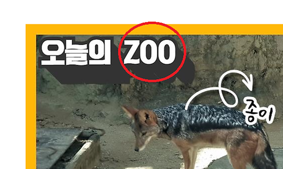 ZOO 를 '동물원'으로 바꿔주세요.