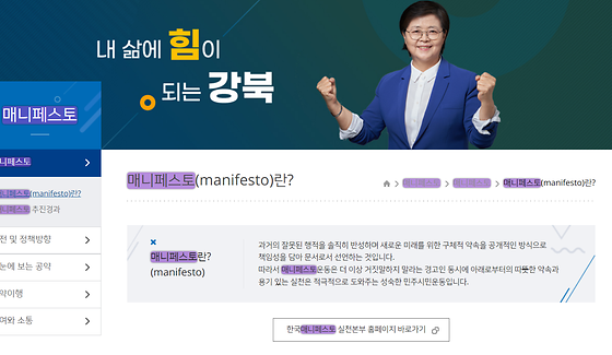 매니페스토 ->공약