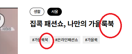 룩북 을 '패션관련제품책자' 로 바꿔주세요.