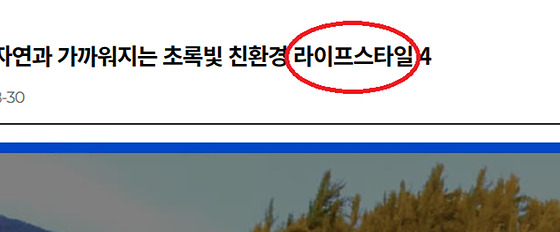 라이프스타일 을 '생활양식' 으로 바꿔주세요.