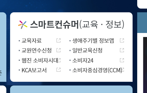 스마트 컨슈머