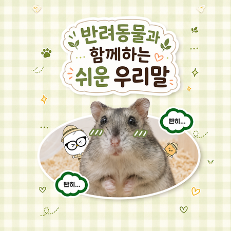 반려동물과 함께하는 일상, 쉬운 우리말로 말해요!